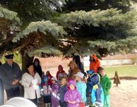 Baum des Jahres 2015 den Feldahorn in der Ortschaft Berkau gepflanzt Baum des Jahres 2015 den Feldahorn in der Ortschaft Berkau gepflanzt