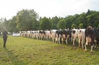 wahl_beste_betriebskollektion_in_krumke_20170