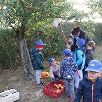 43403054_2053788144682126_8980882894901739520_n