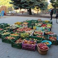 43691130_2056642674396673_6322753834707845120_n