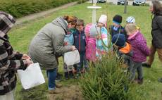 img_0580_bea img_0580_bea