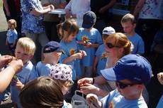 Radweg L 15  Teilstück Steinfeld  Schinner Kreuzung freigegeben