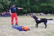 Berufsfeuerwehrtag für die Jugendfeuerwehren der Einheitsgemeinde Bismark in Beesewege, Steinfeld und Meßdorf Berufsfeuerwehrtag für die Jugendfeuerwehren der Einheitsgemeinde Bismark in Beesewege, Steinfeld und Meßdorf