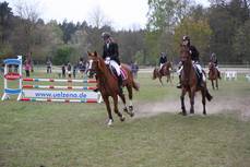 img_4860_kl img_4860_kl