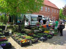 Staudentauschbörse auf dem Altmarkhof in Schäplitz Staudentauschbörse auf dem Altmarkhof in Schäplitz