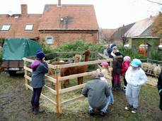 22. Klädener Adventsmarkt 22. Klädener Adventsmarkt