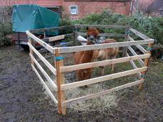 22. Klädener Adventsmarkt 22. Klädener Adventsmarkt