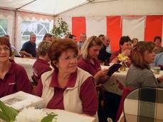 20 Jahre Steinfelder Kulturverein