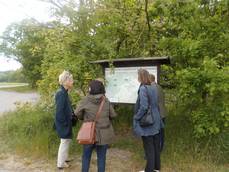 Großsteingräber sollen in überregionaler Megalithroute verknüpft werden Großsteingräber sollen in überregionaler Megalithroute verknüpft werden