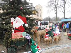 adventsmarkt adventsmarkt