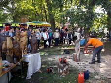 19. Steinfelder Bauernmarkt 19. Steinfelder Bauernmarkt