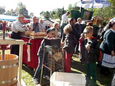 19. Steinfelder Bauernmarkt 19. Steinfelder Bauernmarkt