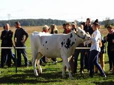 19. Steinfelder Bauernmarkt 19. Steinfelder Bauernmarkt