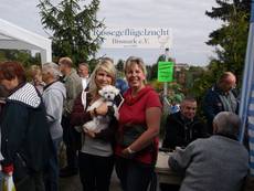 Rassegeflügelausstellung in der Ortschaft Bismark Anfang September war voller Erfolg Rassegeflügelausstellung in der Ortschaft Bismark Anfang September war voller Erfolg