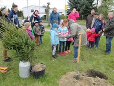 img_0526_bea img_0526_bea