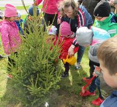 img_0560_bea img_0560_bea