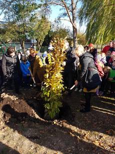 20181030_103944 20181030_103944