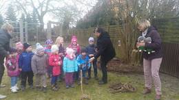 Umweltgartenmobil (UBIMO) machte Station in zwei Kitas der Einheitsgemeinde Stadt Bismark Umweltgartenmobil (UBIMO) machte Station in zwei Kitas der Einheitsgemeinde Stadt Bismark
