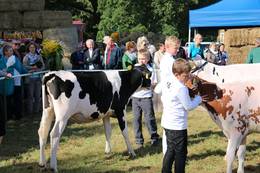 21. Steinfelder Bauernmarkt