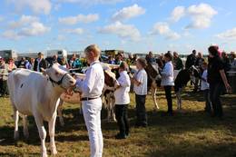 21. Steinfelder Bauernmarkt