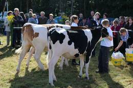 21. Steinfelder Bauernmarkt