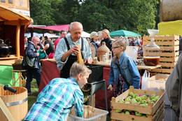 21. Steinfelder Bauernmarkt