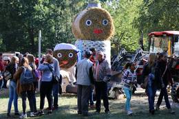 21. Steinfelder Bauernmarkt