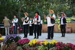 21. Steinfelder Bauernmarkt