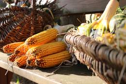 21. Steinfelder Bauernmarkt