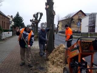Gemeindearbeiter führten Schneidarbeiten in verschiedenen Ortschaften der Einheitsgemeinde Stadt Bismark (Altmark) durch