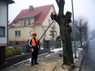 Gemeindearbeiter führten Schneidarbeiten in verschiedenen Ortschaften der Einheitsgemeinde Stadt Bismark (Altmark) durch