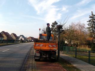 Gemeindearbeiter führten Schneidarbeiten in verschiedenen Ortschaften der Einheitsgemeinde Stadt Bismark (Altmark) durch