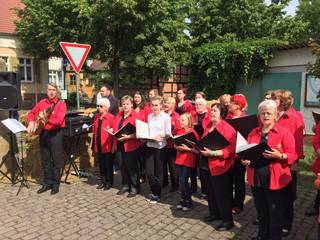 19. Bauernmarkt zur Rosenblüte in Klietznick war wieder ein voller Erfolg 19. Bauernmarkt zur Rosenblüte in Klietznick war wieder ein voller Erfolg