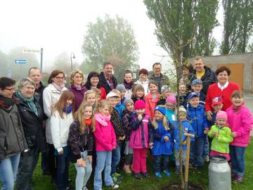 Baumpflanzung in Schinne Baumpflanzung in Schinne