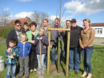 Die Winterlinde  Baum des Jahres 2016