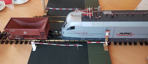 20190403_165535_ 20190403_165535_