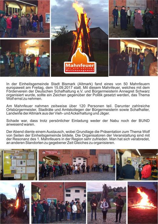 mahnfeuer_wolf