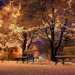 bank bluartpapelaria