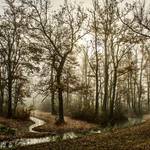 gewässerschauen milde biese 2024