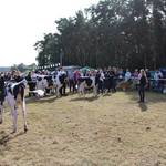 Steinfelder Bauernmarkt 10