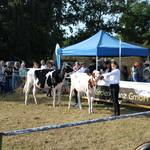 Steinfelder Bauernmarkt 11