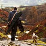 Jagdgensooenschaft © publicdomainpictures by pixabay animal 17760 1280 publicdomainpictures