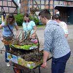 Staudentauschbörse auf dem Altmarkhof in Schäplitz