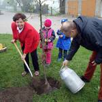 Baumpflanzung in Schinne