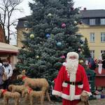 Weihnachtsbaum Schloss Kläden
