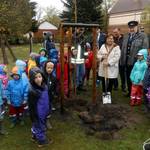 Einheitsgemeindebürgermeisterin Verena Schlüsselburg pflanzte gemeinsam mit Ortsbürgermeisterin Ines Pagels und den Ortswehrleitern Uwe Becker, Wartenberg, und Frank Grenda, Berkau, den Baum des Jahres 2015 und setzte damit eine schöne Tradition in d