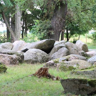 großsteingrab steinfeld © Ines Nilson