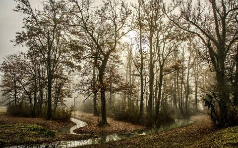 gewässerschauen milde biese 2024