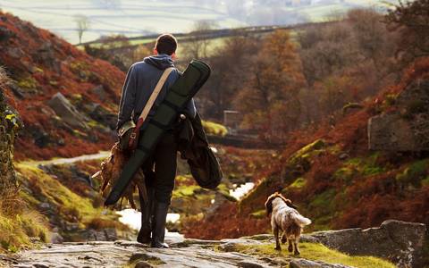 animal 17760 1280 publicdomainpictures