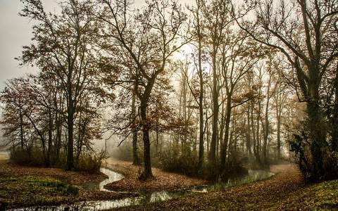 gew sserschauen uchte